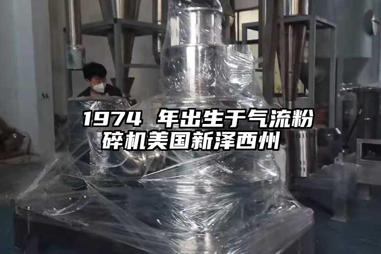  1974 年出生于氣流粉碎機(jī)美國新澤西州