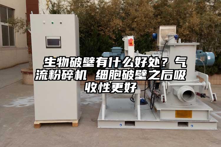  生物破壁有什么好處？氣流粉碎機 細胞破壁之后吸收性更好